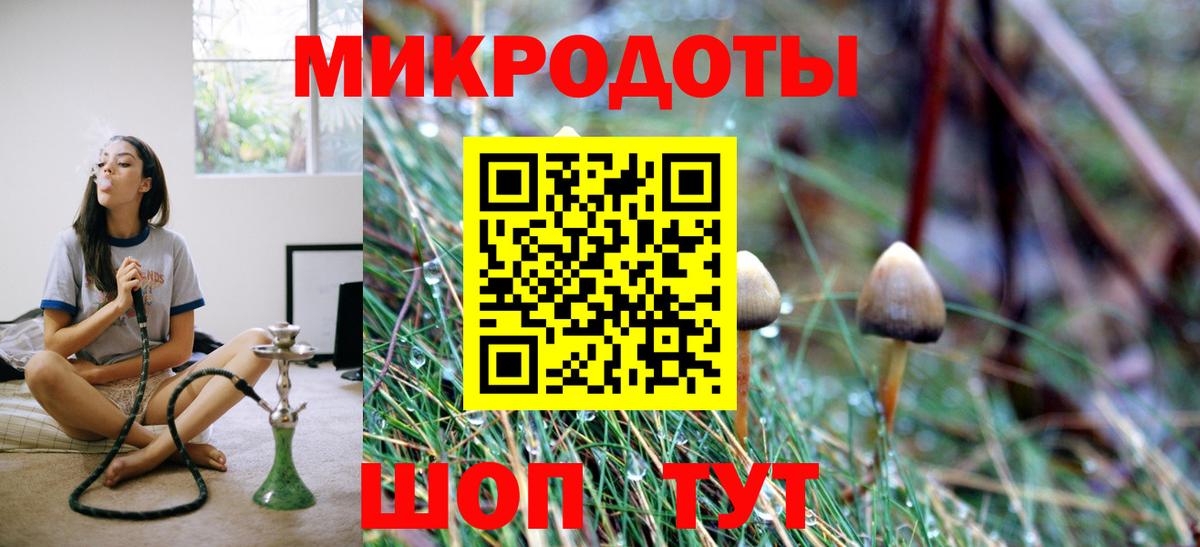 Галлюциногенные грибы мухоморы Рубцовск