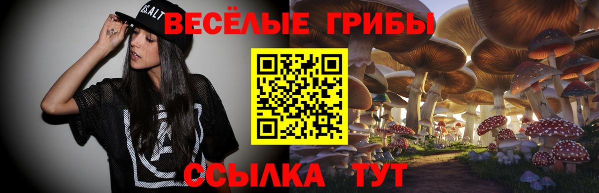 Галлюциногенные грибы GOLDEN TEACHER  Вход с VPN  Рубцовск 
